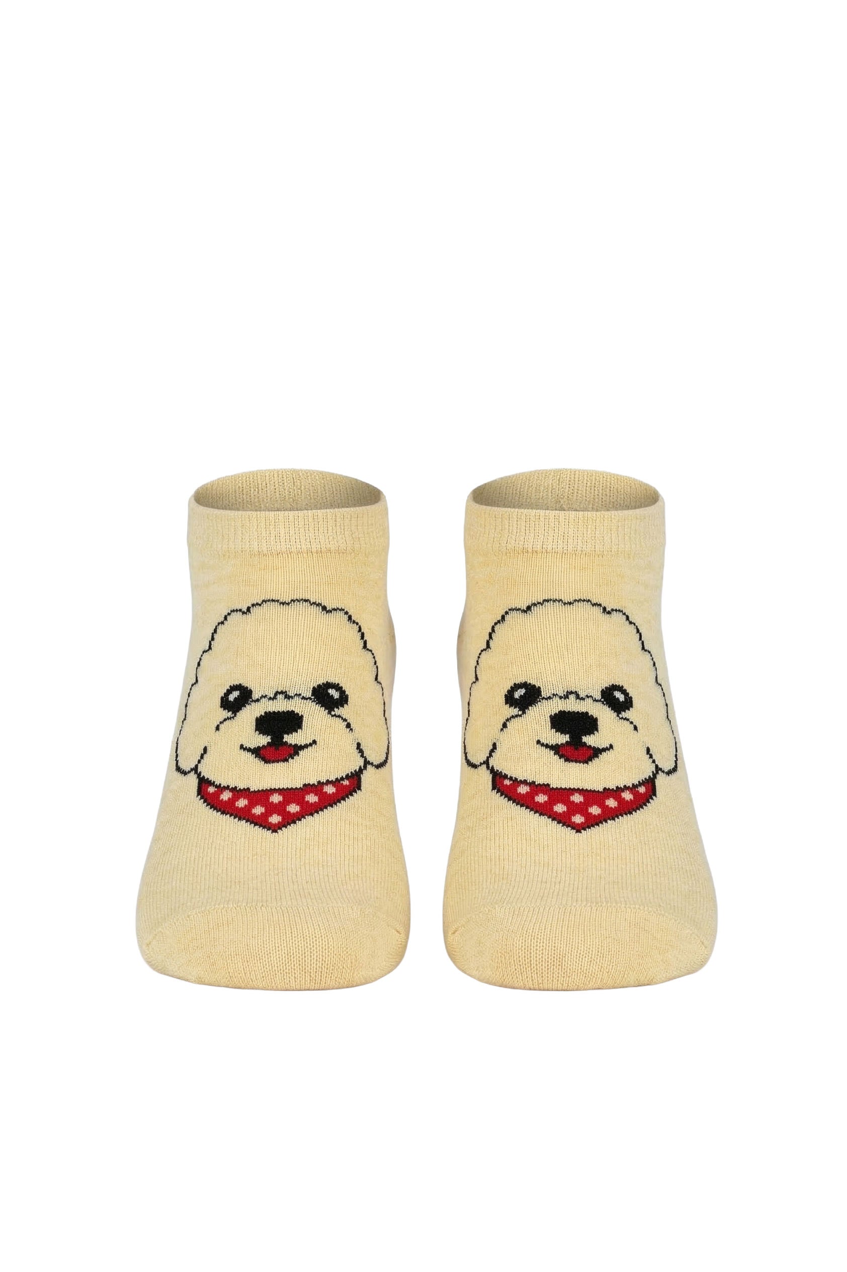 Louluu women's cotton Dog low cut socks — front view | Louluu
