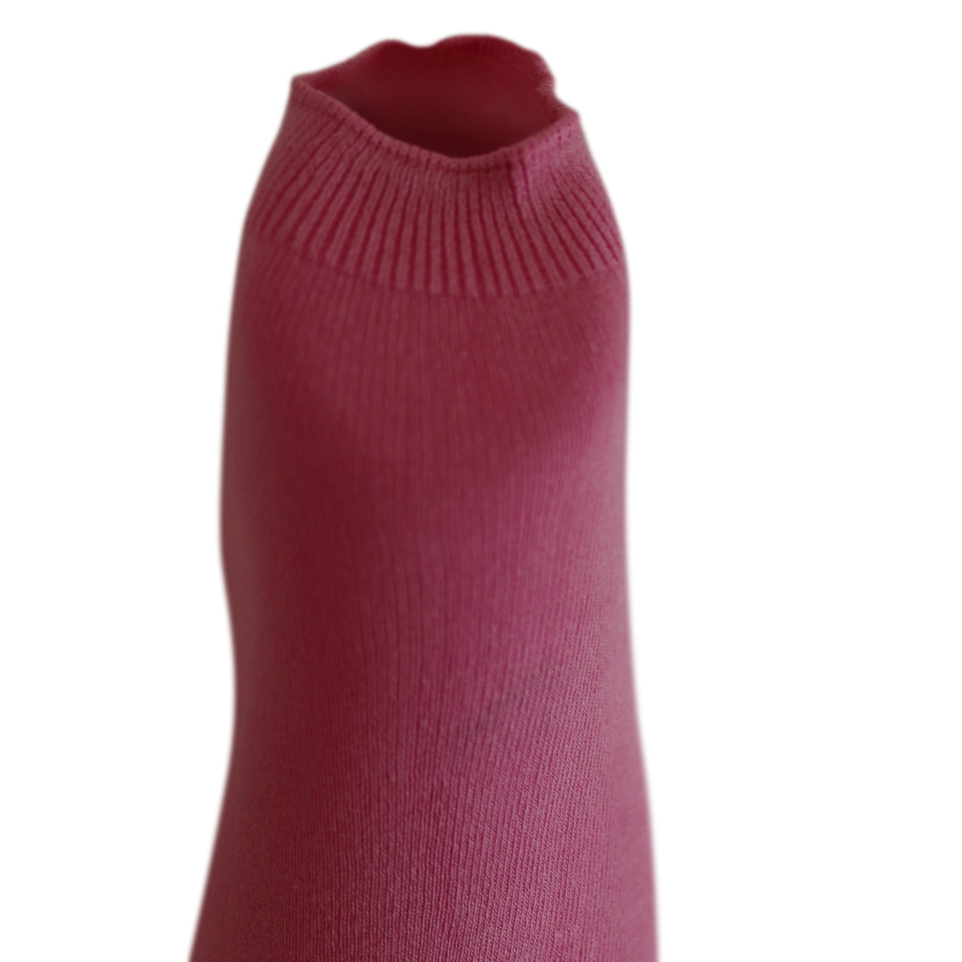 Louluu Women Pink Modal Low Cut Socks