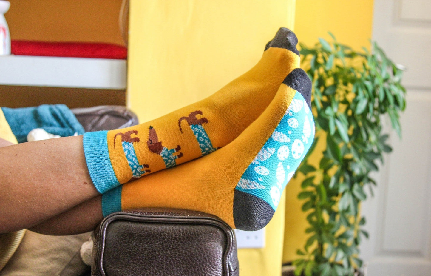 Louluu Women's Colourful Funny Socks